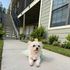 Aspen Villa Apartments, Wake Village, Texas