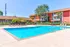 Inviting apartment complex with a sparkling blue swimming pool, surrounded by sun loungers and vibrant greenery offering a relaxing oasis.