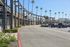 Vibrant shopping center with prominent stores like T.J. Maxx and Ross under a clear blue sky, lined with tall palm trees.