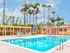 Vibrant outdoor pool area with palm trees and sun loungers, perfect for relaxation and leisure.