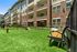 Community Bark Park | Towers at Mercer Crossing | Apartments in Farmers Branch, TX