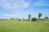 Expansive green lawn with young trees and a quaint pavilion under a vibrant blue sky, perfect for leisurely walks and outdoor activities.