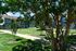 Element at Cedar Bluff