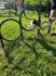 Dog Park