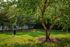 Apartments in Murfreesboro, Tennessee
