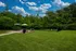 Charming outdoor area with lush green lawn, picnic tables under colorful umbrellas, and a scenic backdrop of trees and a bright blue sky.