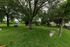 Lush green park area with mature trees, featuring a playful playground setup and open spaces for relaxation.