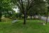Charming outdoor area in a lush green park featuring playful dog-friendly equipment under large shade trees.