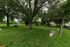 Lush green open space with mature trees and playful structures, perfect for outdoor activities in a serene community setting.