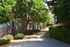 Charming apartment walkway lined with lush greenery, offering a tranquil and inviting path to your home.