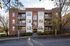 Charming brick apartment building with classic architecture and inviting balconies, surrounded by lush trees on a tranquil street.