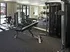 Modern fitness center featuring state-of-the-art gym equipment, free weights, and ample natural light.