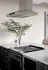 Modern kitchen design featuring a sleek stainless steel range hood, elegant dark cabinetry, and a minimalist countertop with greenery.