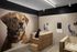 Modern pet wash area featuring stylish tubs and a large dog mural, creating a welcoming environment for grooming.