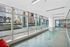 Wolf Point West Dog Spa
