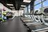 Modern gym equipped with treadmills, exercise bikes, and colorful stability balls next to large windows with city views.