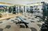 Fitness and wellness studio