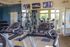 Modern fitness center with state-of-the-art treadmills, weight machines, and large windows providing natural light.