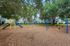 Charming playground with vibrant slides and swings, nestled under lush trees in a serene residential community.