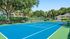 Vibrant tennis court surrounded by lush greenery and tall trees, offering a perfect blend of recreation and nature.