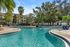 Pool | Apartments in Tampa, FL | Citrus Village