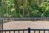 Charming fenced outdoor area surrounded by lush greenery, perfect for relaxation and recreation.