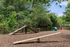 Charming outdoor dog park featuring agility equipment surrounded by lush greenery, perfect for pet-friendly apartments.