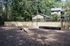 Inviting outdoor dog park with agility equipment set amidst lush greenery, perfect for pet-friendly living.
