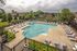 Community pool with sun loungers all facing the pool
