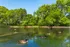 Village of Sycamore Ridge - Scenic Pond