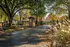 Entry drive lined with autumn trees at Hickory Forest in Memphis, TN