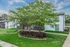 Green lawn with flowering trees between buildings at Trails at Northpointe in Jackson, MS