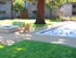 Fire Pit and Bocce Ball In Garden Courtyard surrounded by Beautiful Trees