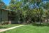 Walkway through common area with large patio and balconies shaded by large trees.