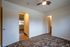 living room with carpet, white walls, ceiling fan and natural lighting from window and indoor lighting with fan