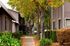 A quiet residential walkway with autumn leaves scattered, flanked by brown buildings and lush green shrubs. Tall trees with vibrant leaves line the path.