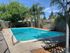 Sparkling swimming pool with palm tree