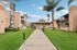 Inviting courtyard with lush green lawns surrounded by charming apartment buildings and towering palm trees under a bright blue sky.