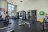 Modern fitness center with high ceilings featuring state-of-the-art gym equipment, large windows, and vibrant exercise balls for a refreshing workout experience.