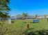 Apartment complex with spacious dog park featuring agility equipment and lush greenery.