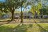 Inviting apartment complex surrounded by lush greenery and sunlight filtering through tall trees.
