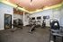 Modern fitness center with state-of-the-art exercise equipment, vibrant artwork, and ceiling fans for comfort.