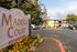 Inviting view of Madera Court Apartments sign with vibrant flowers and a spacious parking area, surrounded by lush trees and a clear blue sky.