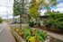 Charming Tahitian Terrace apartments nestled among lush greenery with vibrant flower beds, offering one and two-bedroom options.