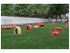 Dog Park