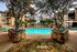 Spring Parc Apartment Homes, Dallas, Texas