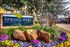 Spring Parc Apartment Homes, Dallas, Texas