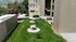 Ariel View of community grass