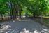 Dog Run