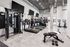 various gym equipment, tvs mounted to wall